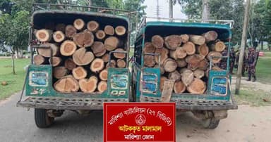 বিজিবির অভিযানে কাঠ ও চাঁদের গাড়ি জব্দ