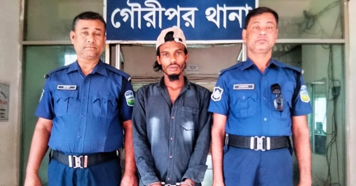 গৌরীপুরে মোটরসাইকেল ও টাকা ছিনতাই, গ্রেপ্তার ১
