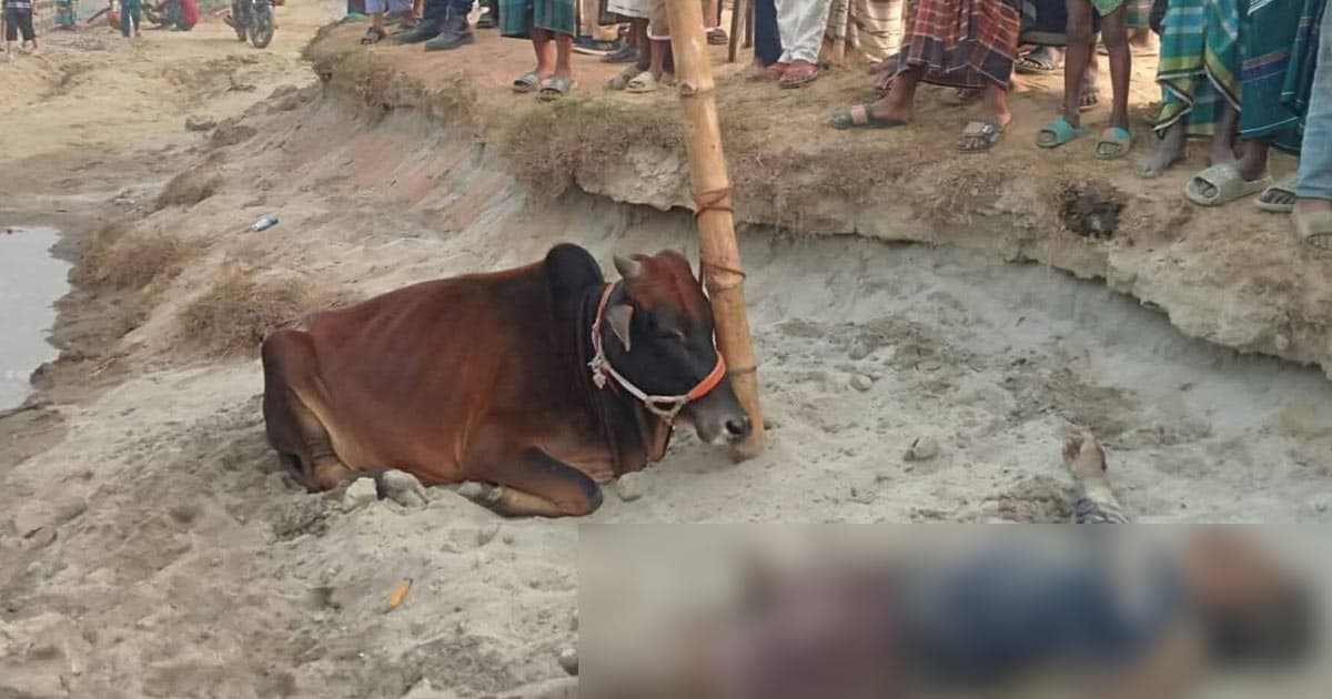 গরুচোর সন্দেহে গণপিটুনিতে একজন নিহত