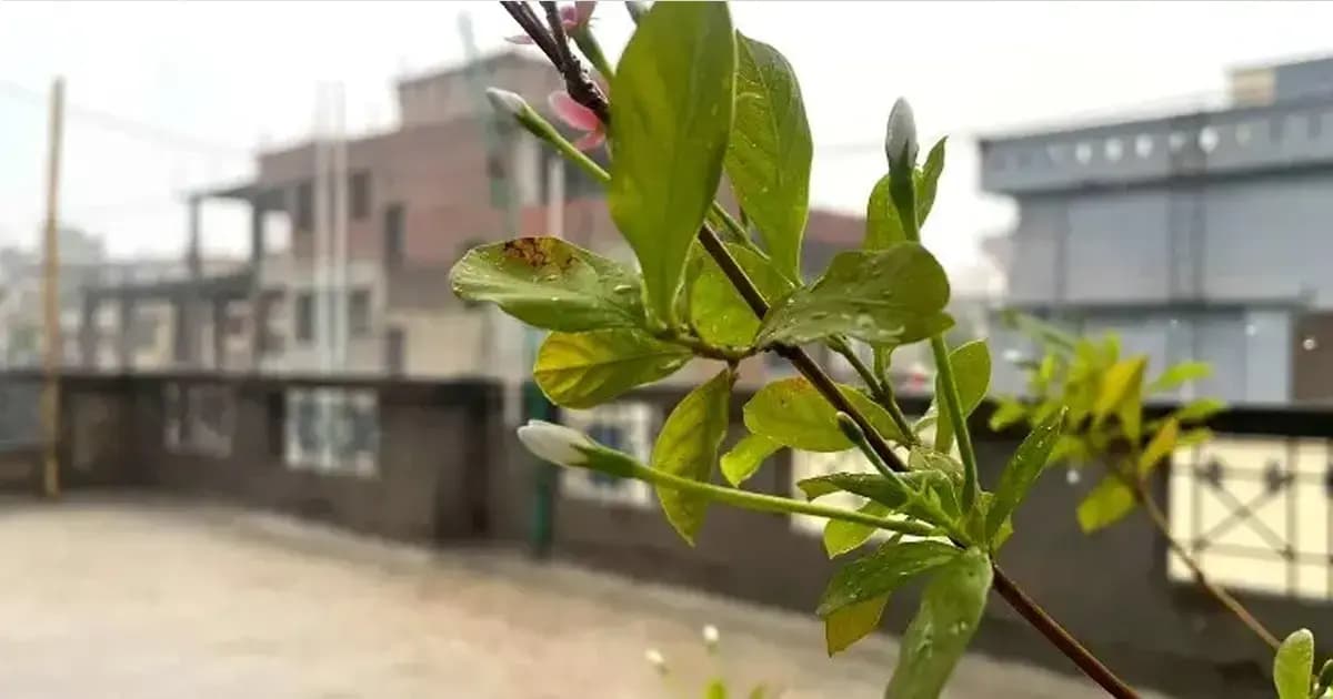 ঢাকায় আজ বজ্রসহ ঝড়ের আভাস