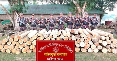 বাঘাইছড়িতে বিপুল পরিমাণ সেগুন কাঠ উদ্ধার