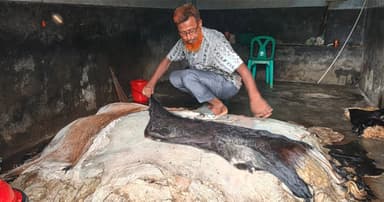 চামড়ায় লোকসানের শঙ্কা ব্যবসায়ীদের