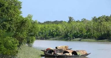 ২৪ দিন পর মুক্তিপণ দিয়ে ফিরলেন ২ জেলে