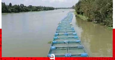 ভাঙ্গুড়া-ফরিদপুরে ভাসমান খাঁচায় মাছ চাষে সাফল্য