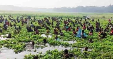 চলনবিলে শুরু ঐতিহ্যবাহী বাউৎ উৎসব
