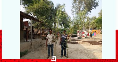 তাড়াশে বসতবাড়ি থেকে গাঁজা গাছ উদ্ধার