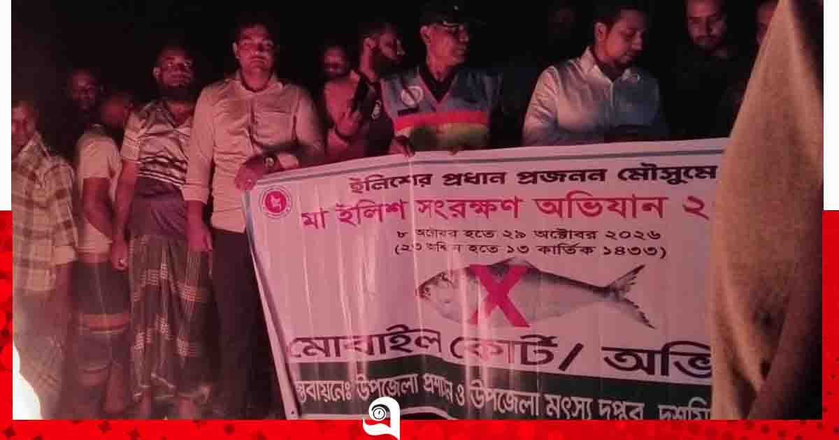তেতুলিয়া নদীতে মা ইলিশ শিকারের দায় ৮ জেলের কারাদণ্ড