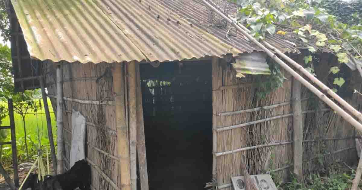 গুরুদাসপুরে ঘরে ছিটকিনি আটকে রেখে ৫ গরু চুরি