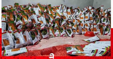 অবৈধভাবে ভুট্টা বীজ প্যাকেটজাত করায় পাটগ্রামে গোডাউন সিলগালা