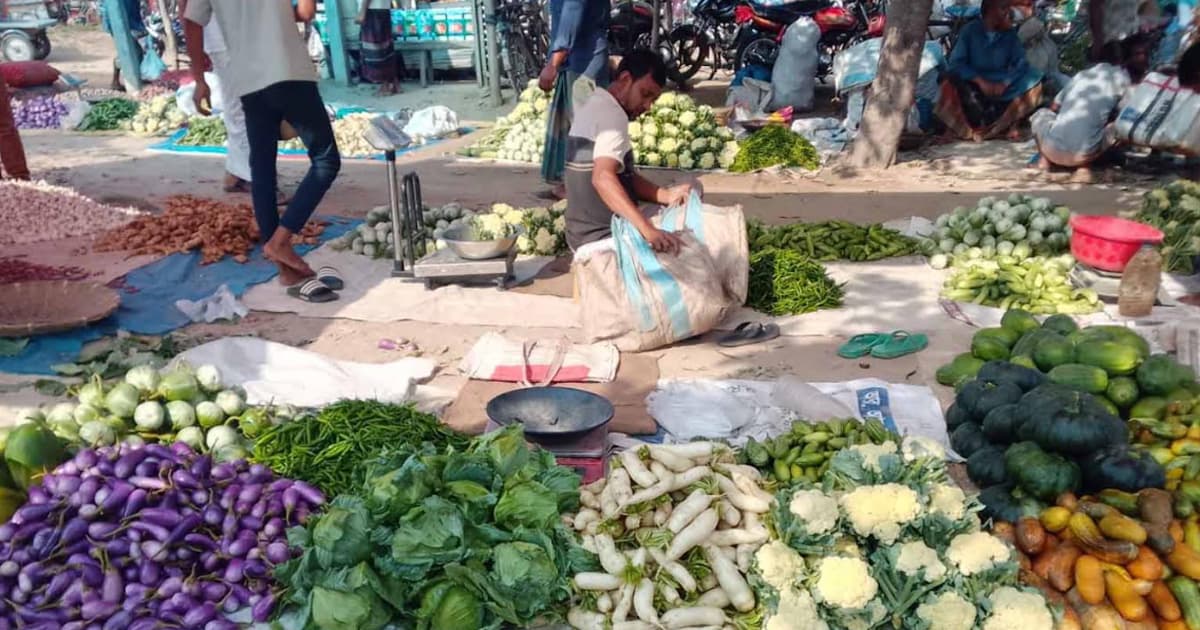 বিরামপুরে আগাম সবজিতে ভরেছে বাজার, নেমেছে দাম
