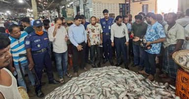 চাঁদপুরে পচা ইলিশ বিক্রির অভিযোগে ব্যবসায়ীকে জরিমানা