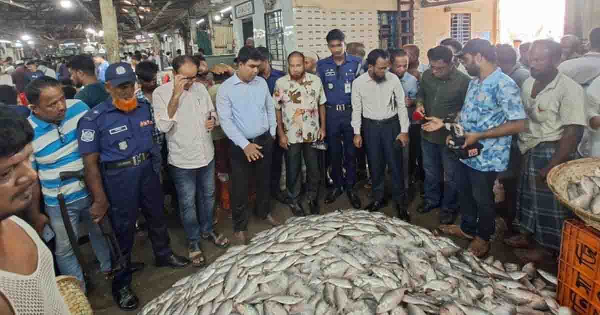 চাঁদপুরে পচা ইলিশ বিক্রির অভিযোগে ব্যবসায়ীকে জরিমানা