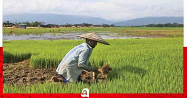 বেড়ার চরাঞ্চলের কৃষকদের কৃষি প্রণোদনা না পাওয়ার অভিযোগ