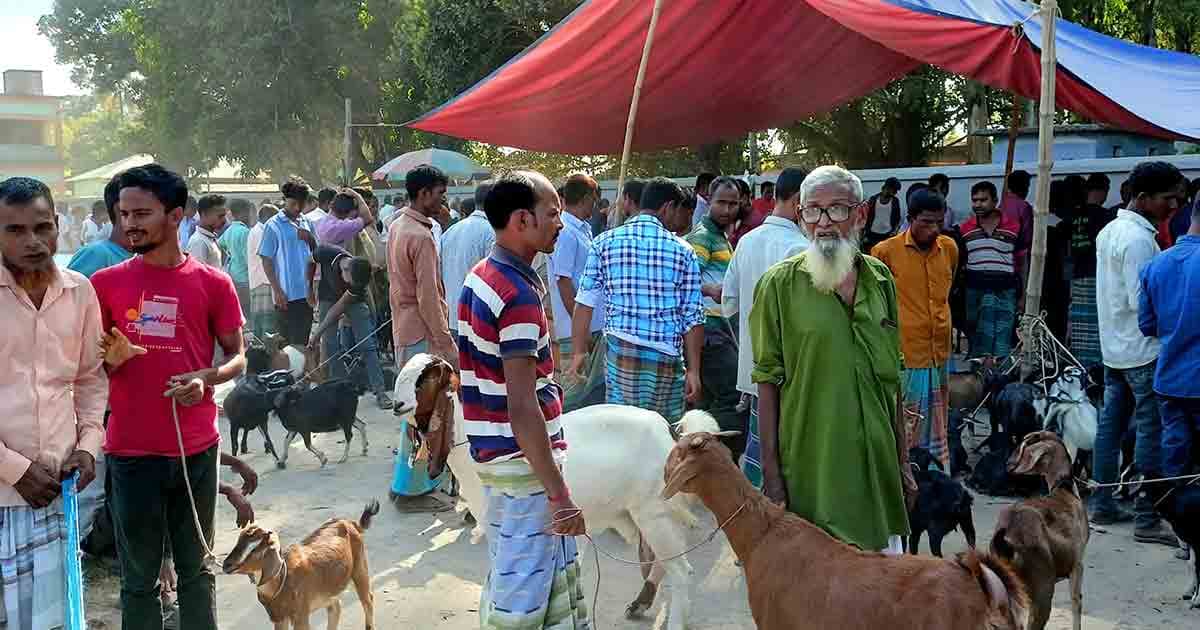 কালীগঞ্জ হাটে টোলের নামে বাড়তি টাকা আদায়ের অভিযোগ