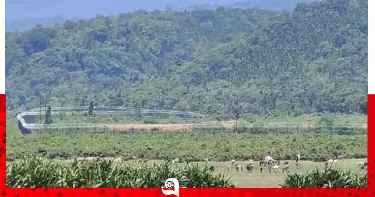 কানাইঘাটে যুবকের গুলিবিদ্ধ লাশ উদ্ধার