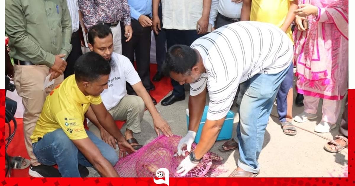 সিলেটে কুকুরের টিকাদান শুরু