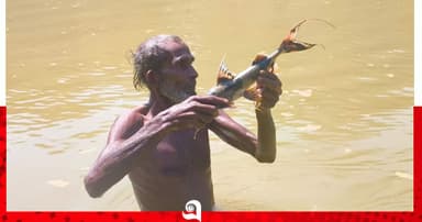 নদীতে বিষ দিয়ে মাছ নিধন, স্বাস্থ্যঝুঁকিতে মানুষ