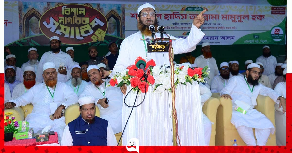 গণভোটের রায় নিয়ে প্রতারণা করছে সরকার: মামুনুল হক