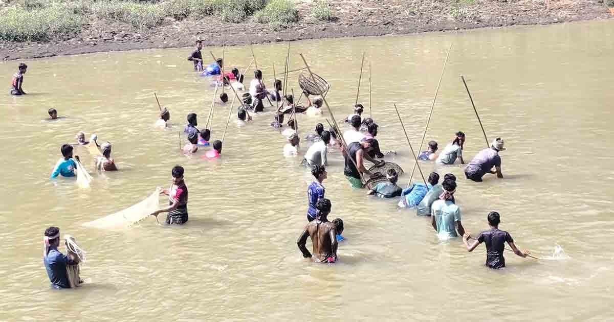 পলো বাওয়ার টানে ধলাই নদীতে শত মানুষের ঢল