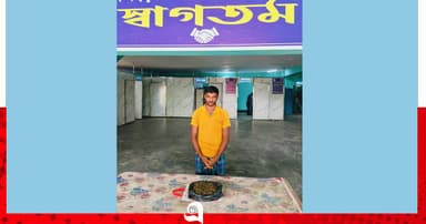 সিংড়ায় গাঁজাসহ গ্রেপ্তার ১