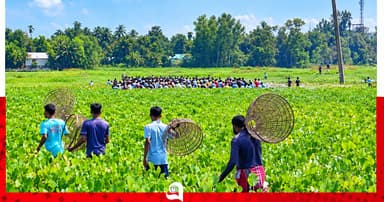 হারানো ঐতিহ্যে প্রাণ, হলদিয়ার বিলে পলো উৎসব