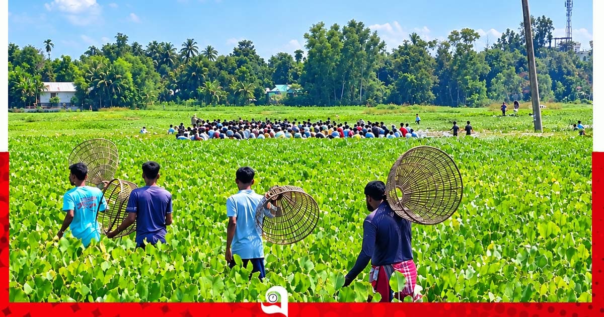 হারানো ঐতিহ্যে প্রাণ, হলদিয়ার বিলে পলো উৎসব