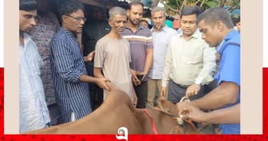 গরু পেলেন ঘানি টানা সম্ভু সাহা