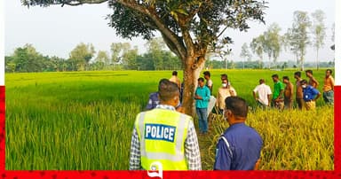 বীরগঞ্জে ধানক্ষেতে কিশোরের অর্ধগলিত লাশ