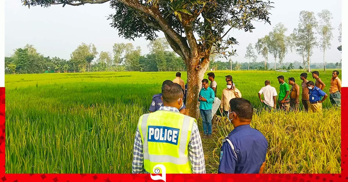 বীরগঞ্জে ধানক্ষেতে কিশোরের অর্ধগলিত লাশ