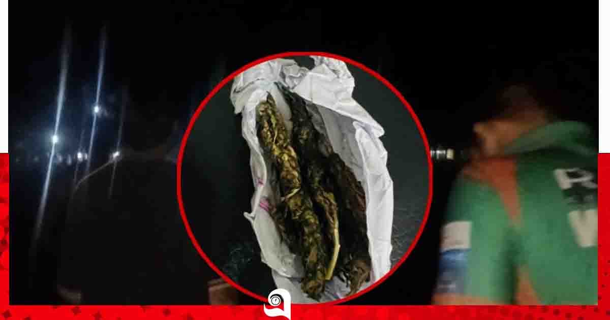 ইসলামী বিশ্ববিদ্যালয়ে গাঁজাসহ হাতেনাতে ধরা দুই শিক্ষার্থী