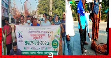 বেনাপোলে চলছে বেওয়ারিশ কুকুরের ভ্যাক্সিনেশন কার্যক্রম
