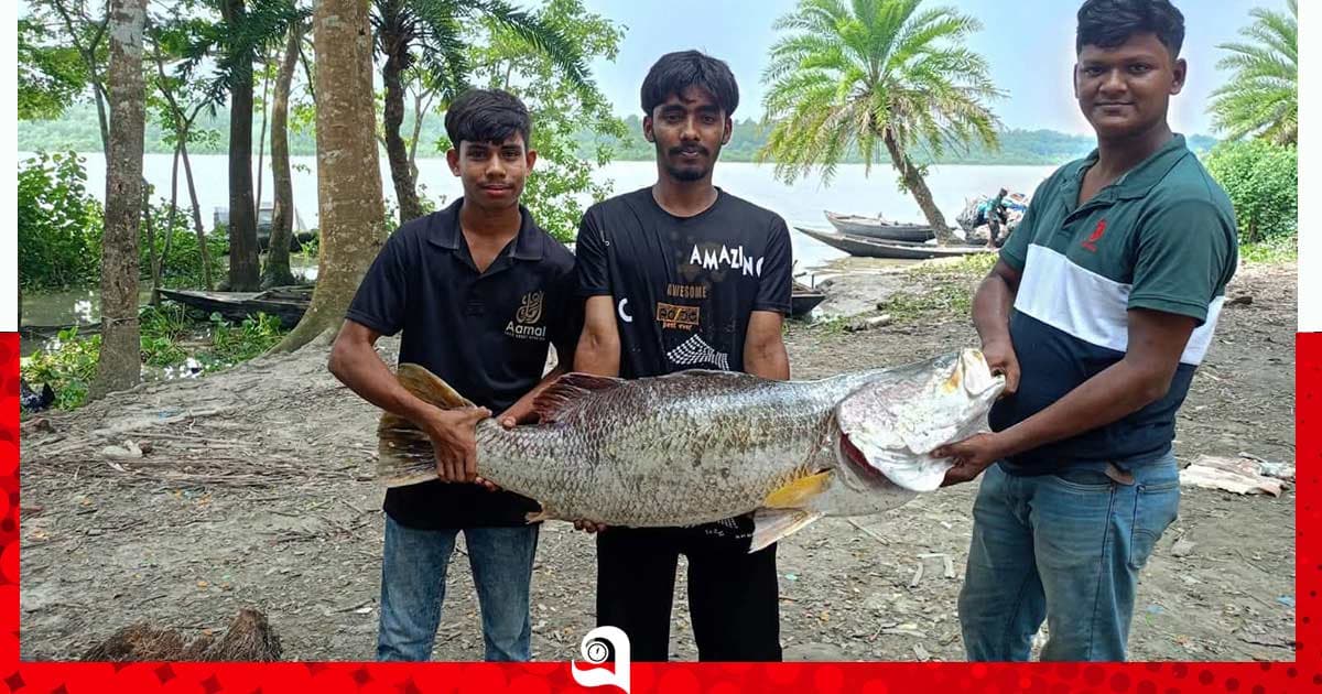 শরণখোলায় জেলের জালে ২০ কেজির কোরাল