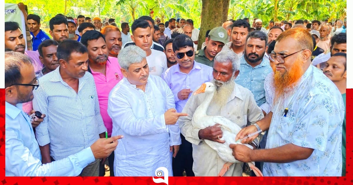 পবায় পশুপাখি সুরক্ষিত রাখতে টিকাদান কর্মসূচি