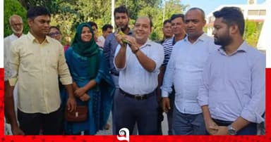 বনের পাখি, বনেই মানায়