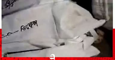 নিখোঁজ ২ শিশুর মরদেহ মিলল জলাশয়ে