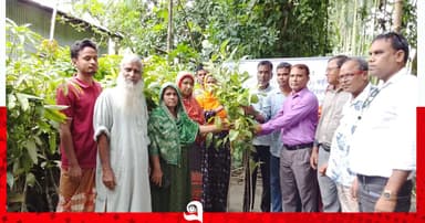 গাইবান্ধায় ফলজ, বনজ ও ঔষধি গাছের চারা বিতরণ