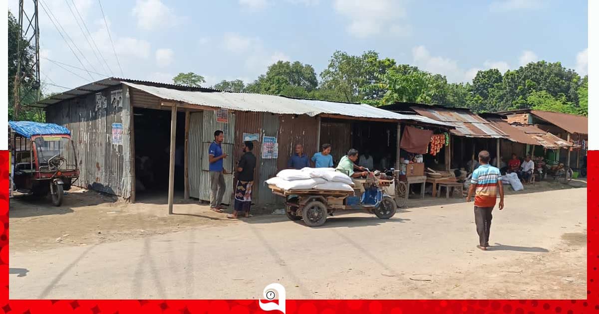 ঠাকুরগাঁওয়ের সার বিতরণ