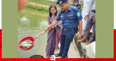 বিরামপুরে মাছের পোনা অবমুক্ত