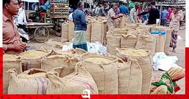 ৬০০ টাকা মণ ধান, তবু কৃষকের লোকসান