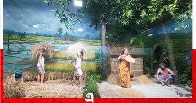 বাড়ির দর্শন