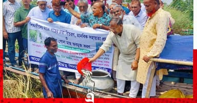 সিংড়ায় ঢেউটিন প্রদান ও গাছের চারা বিতরণ