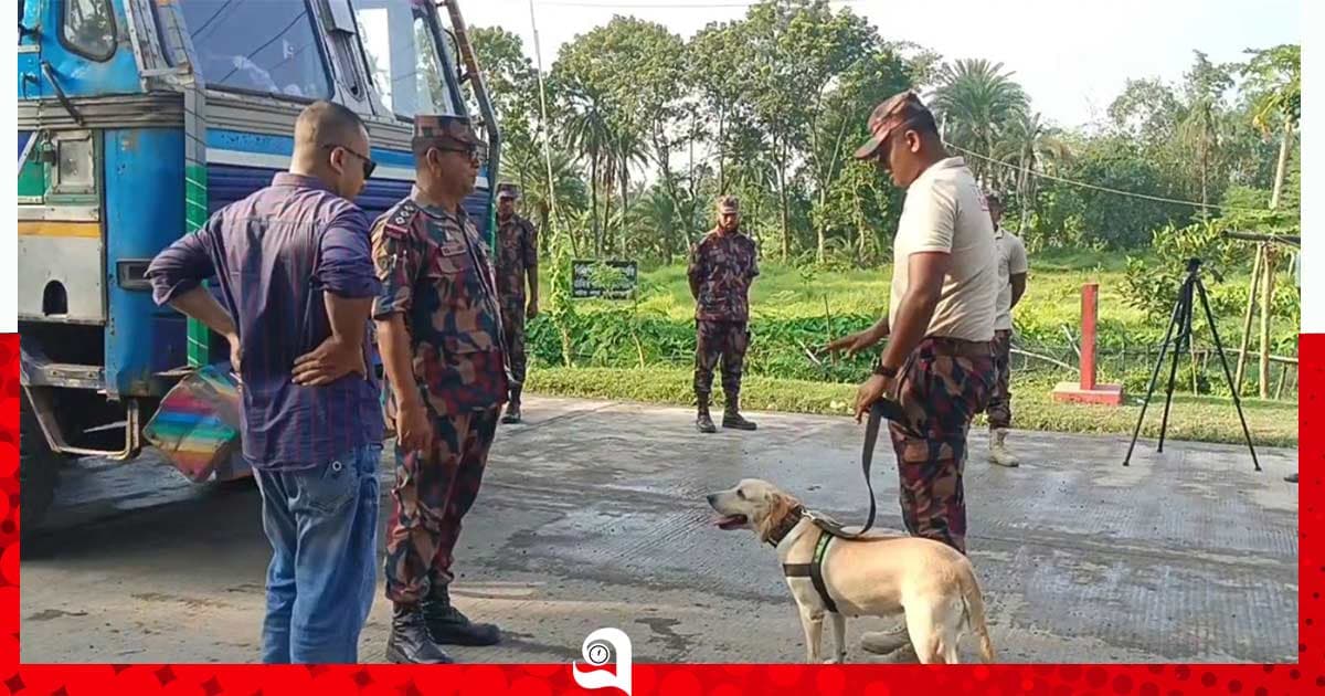 পলাতক আসামি ঠেকাতে সীমান্তে কড়াকড়ি