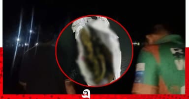 প্রক্টরিয়াল বডির ৪ সিদ্ধান্ত