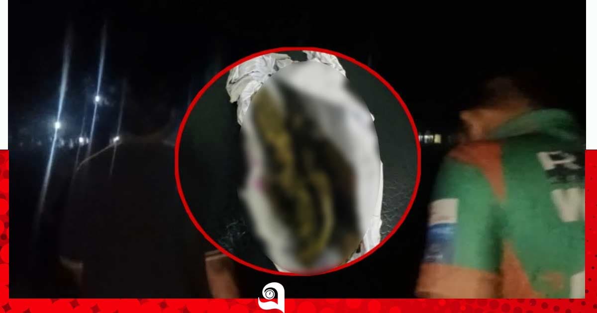 প্রক্টরিয়াল বডির ৪ সিদ্ধান্ত
