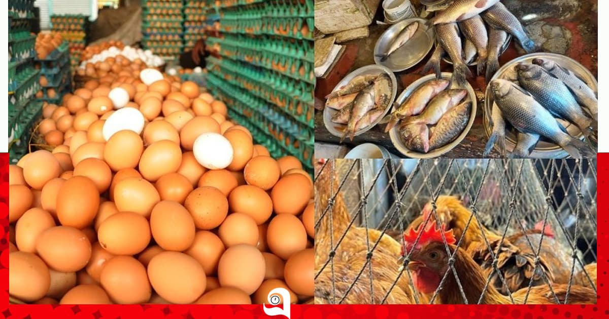 ডিমের পিস ১৪ টাকা, দামে লাগামহীন মাছ-সবজিও