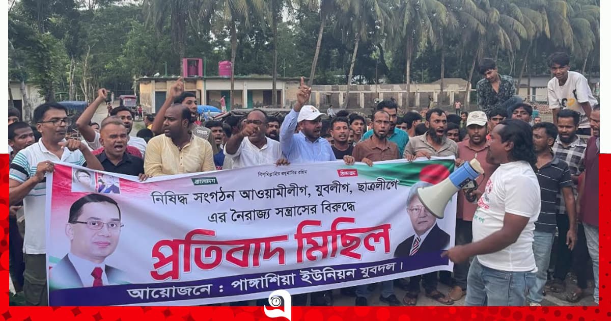 নৈরাজ্যের প্রতিবাদে দুমকিতে যুবদলের মিছিল